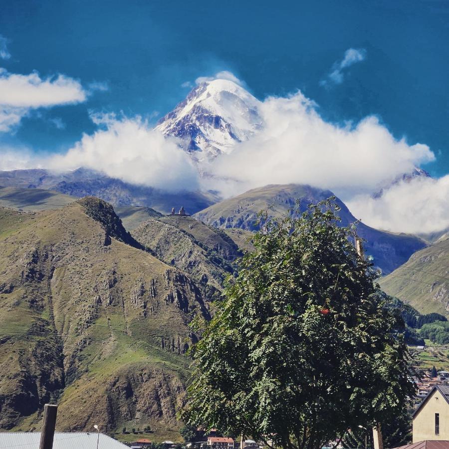 Апартаменты Misty Rocks Kazbegi Экстерьер фото